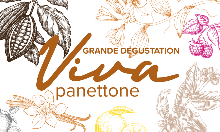 dégustation Viva Panettone
